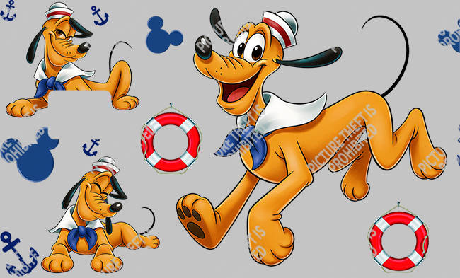 Bank  Card Sticker-BC-1020